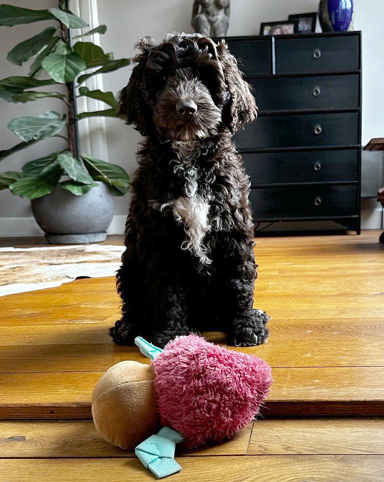 280922fa-22e1-4e60-9b04-087d57da232b