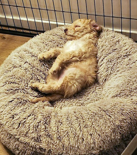 5d281426-7987-42fc-95c2-415b55fd57c4