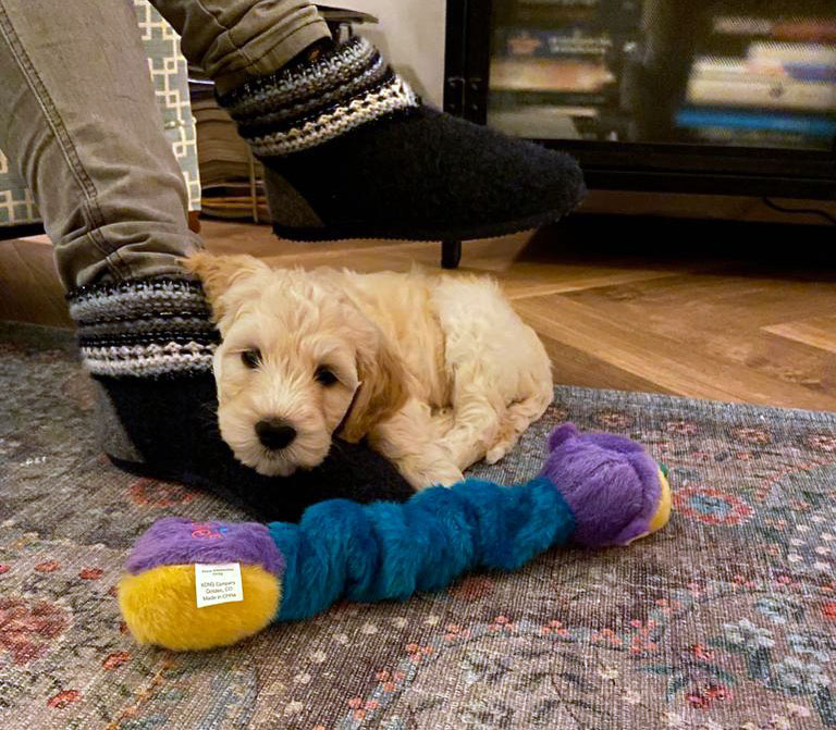 67a97e7d-0604-47eb-87c3-19b70af1c80f