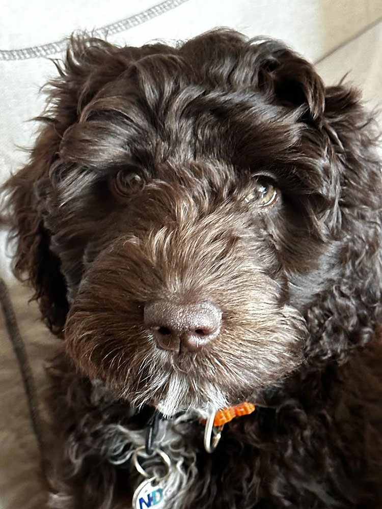 7a45c344-a2c3-4fb4-a6e2-c4e3b6624103