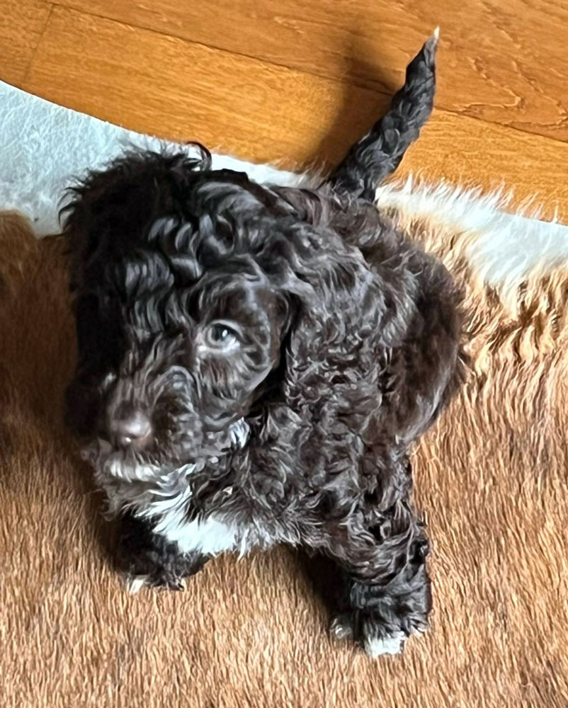 9e8cbc6a-29cc-4796-96bf-3e4c0cb9285c