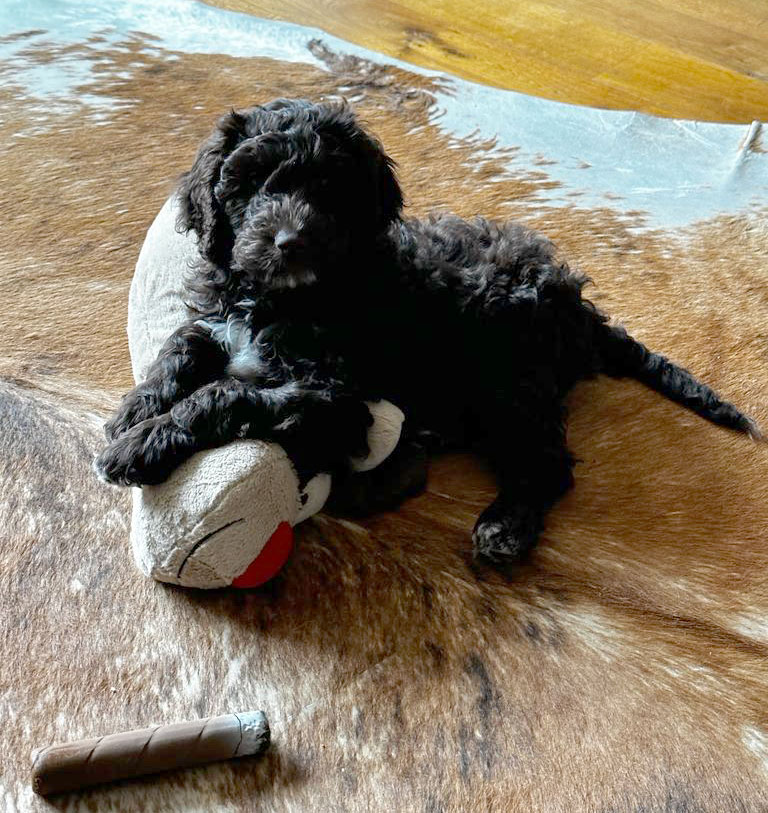 b7577f5f-0587-4eb4-afff-1a71a431beea