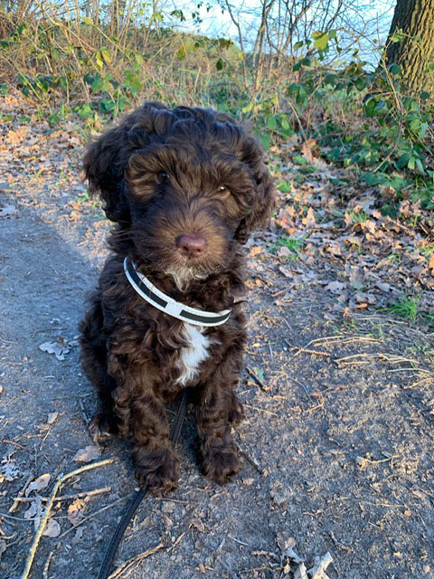 cb7b98bc-6b6d-42e7-9610-a4ec0b726584