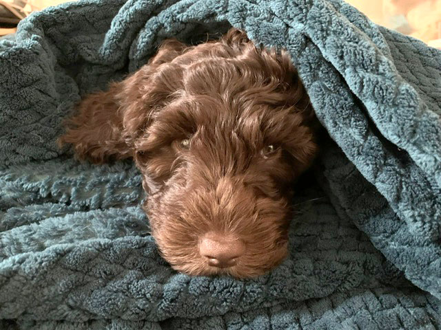 f8d3dbad-e12b-4e20-ac46-dd103a6d63ab