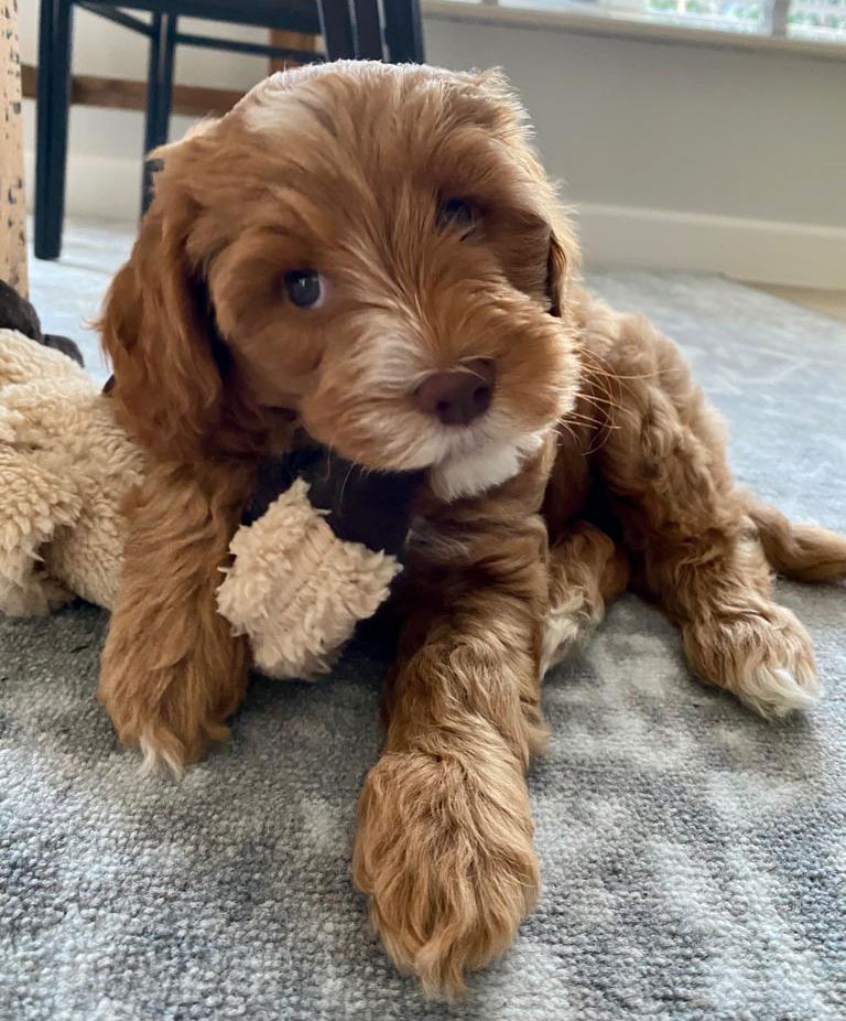 PHOTO-2023-01-08-15-34-35