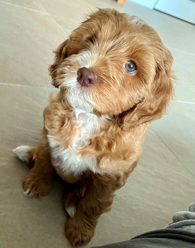 PHOTO-2023-01-11-19-32-27