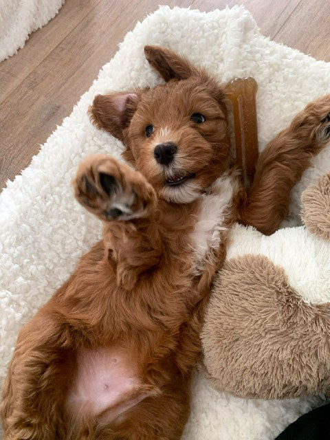 PHOTO-2023-01-11-19-47-34