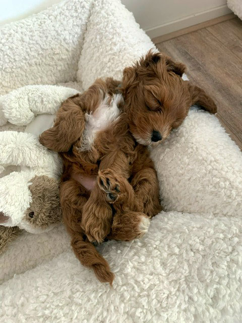 PHOTO-2023-01-11-19-47-35