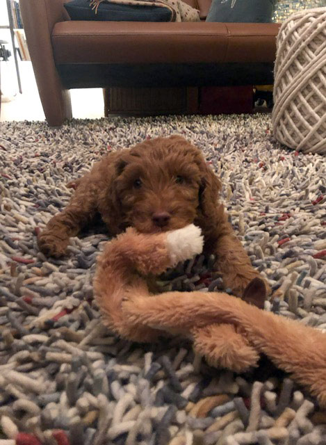 PHOTO-2023-01-11-20-01-46