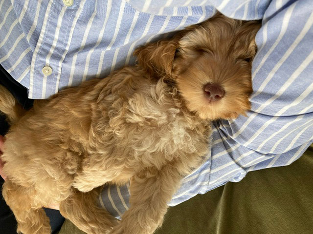 6dbbabac-e76d-4271-8cdb-13ca2284efa3