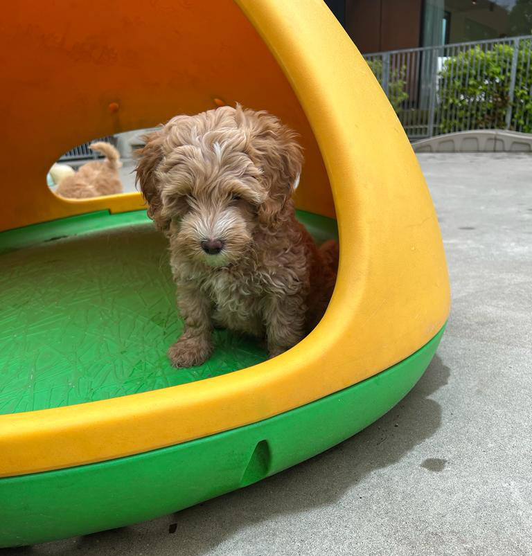 PHOTO-2023-05-10-15-55-05-2