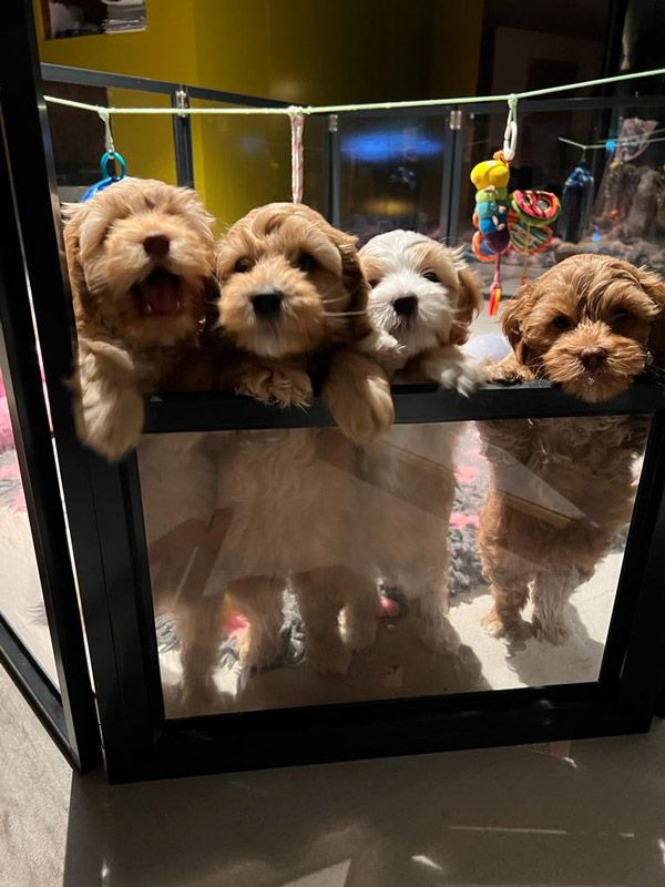 PHOTO-2023-05-10-15-55-05-3