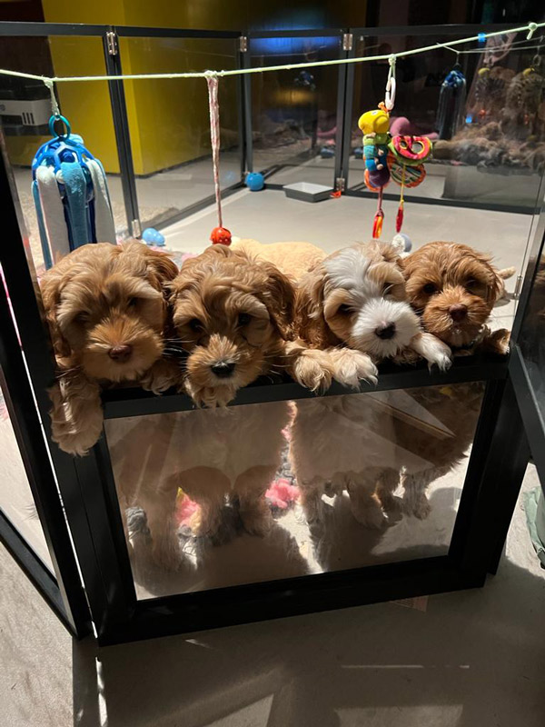 PHOTO-2023-05-10-15-55-05