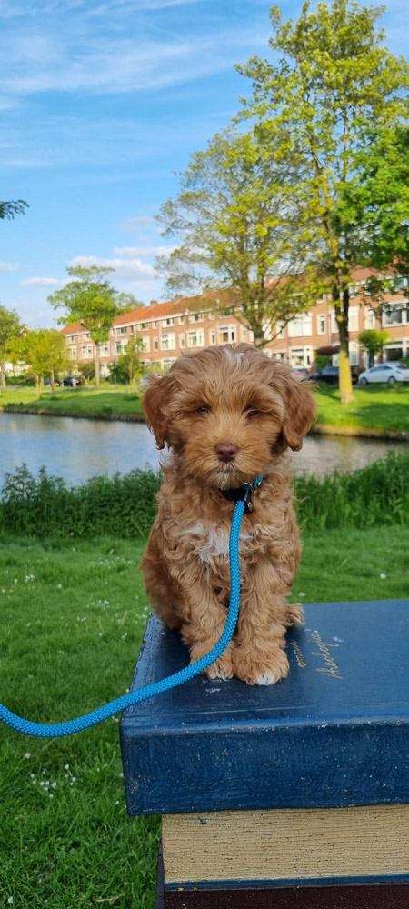 bd0c0f1d-717c-43c9-ad79-881e9d64da85