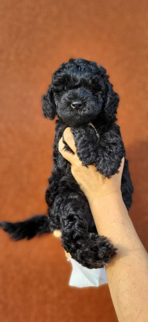 PHOTO-2023-07-18-20-00-35