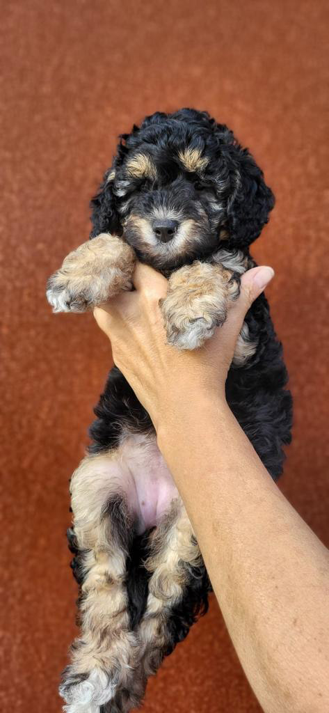 PHOTO-2023-07-18-20-01-48