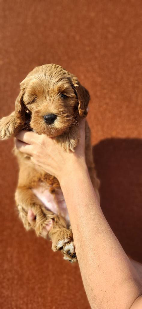 PHOTO-2023-07-18-20-02-37