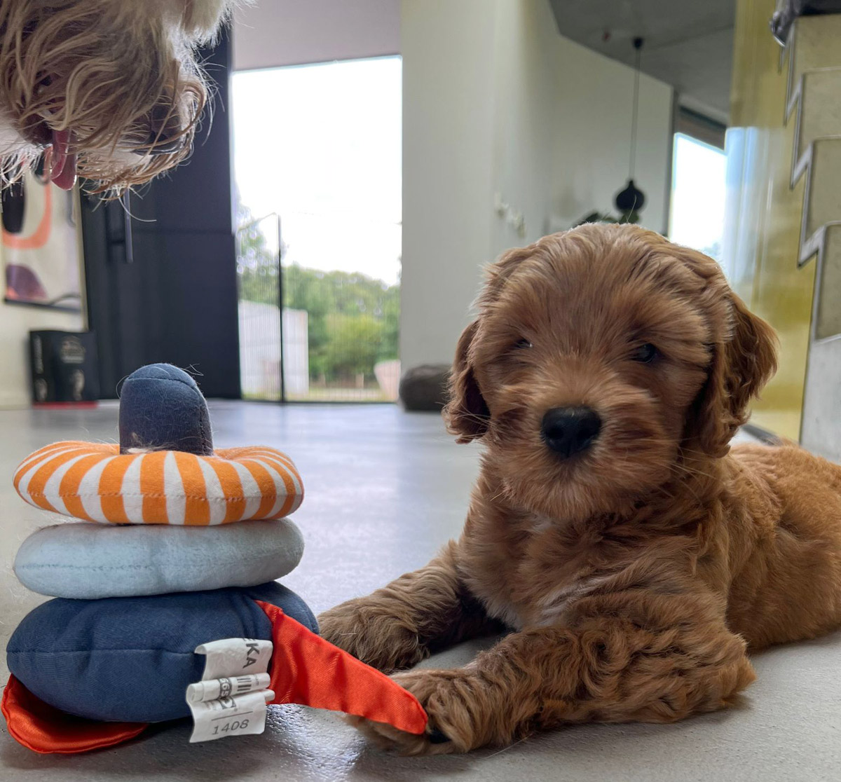 PHOTO-2023-07-24-14-22-14