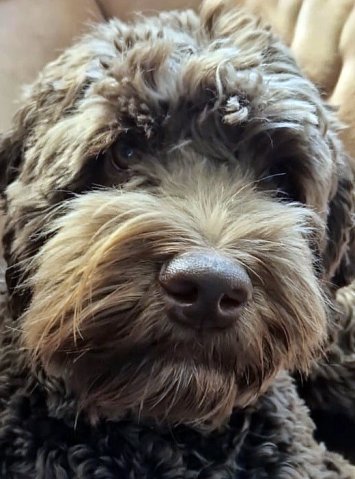 Juffie aka Milly